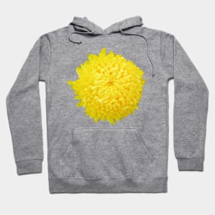 Yellow Chrysanthemum Floral Photo Cutout Hoodie